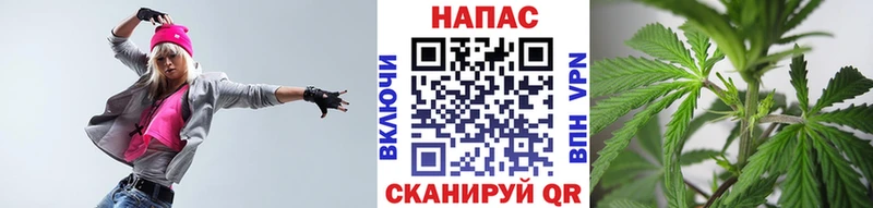 Марихуана гибрид  Чухлома 